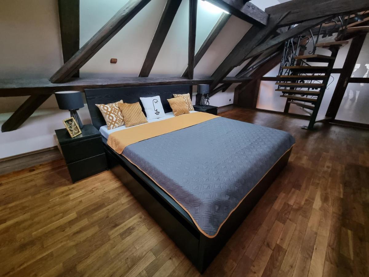 Galerie Vila Lucia 5 -Loft Apartman Plzeň Buitenkant foto