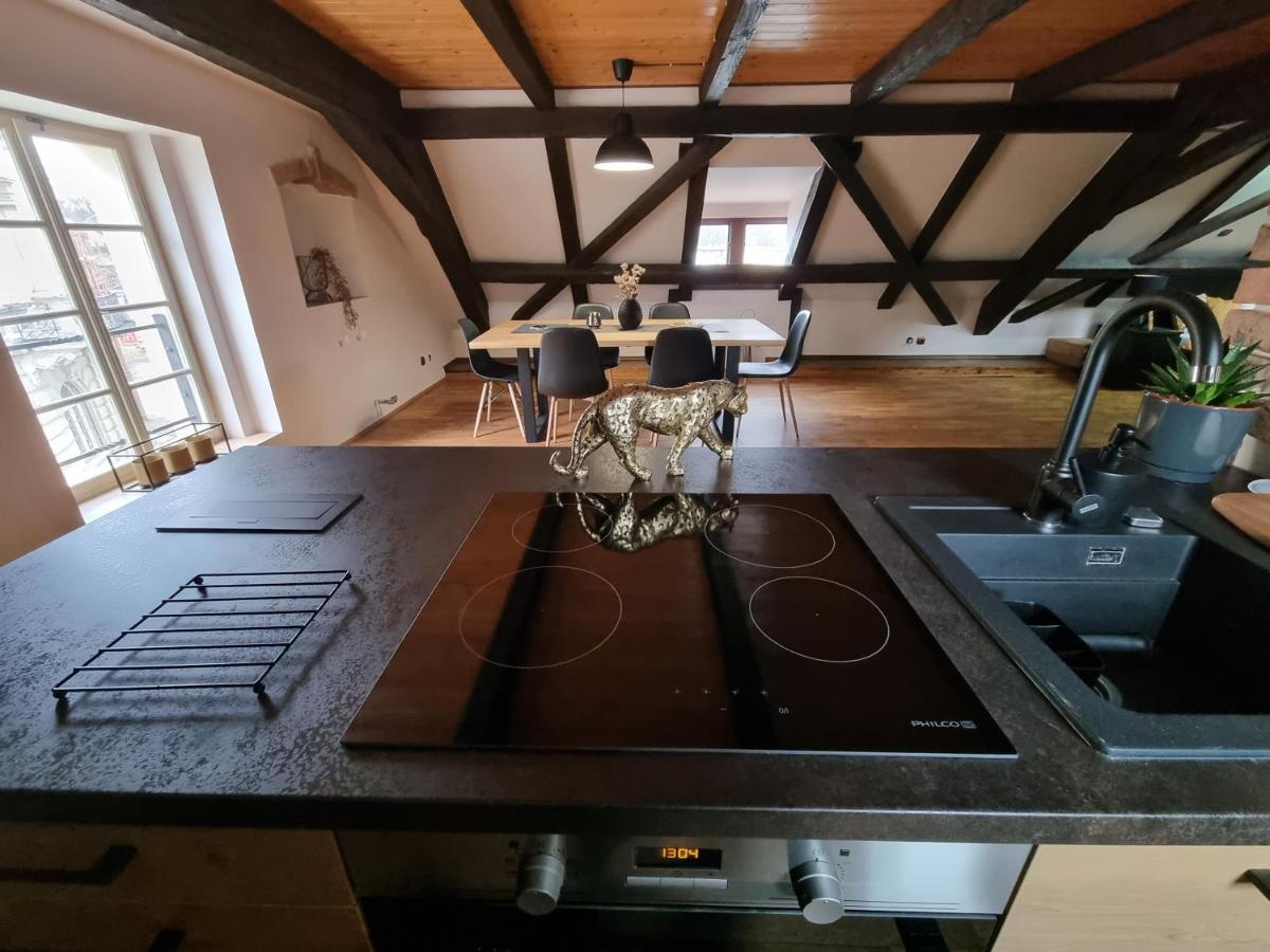 Galerie Vila Lucia 5 -Loft Apartman Plzeň Buitenkant foto