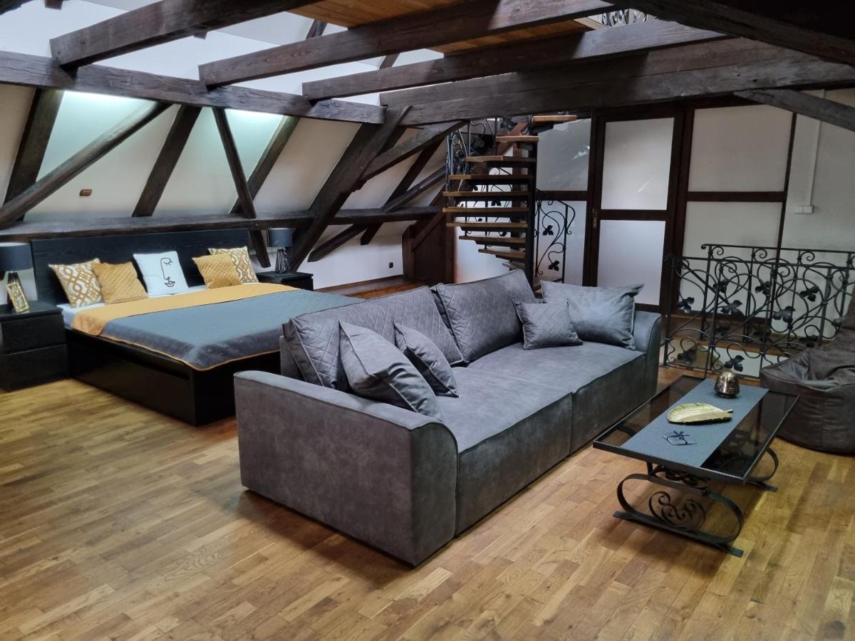 Galerie Vila Lucia 5 -Loft Apartman Plzeň Buitenkant foto