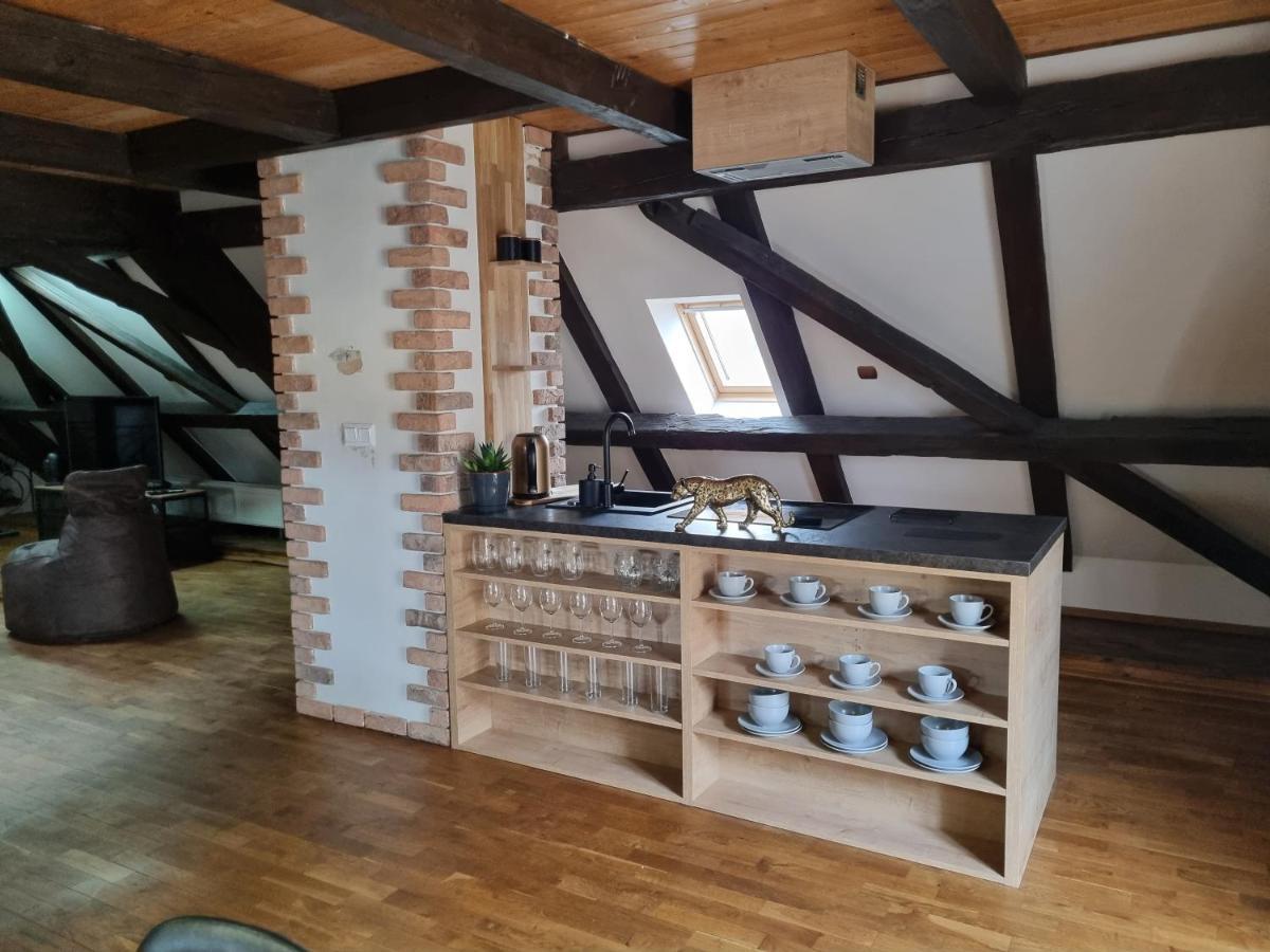 Galerie Vila Lucia 5 -Loft Apartman Plzeň Buitenkant foto
