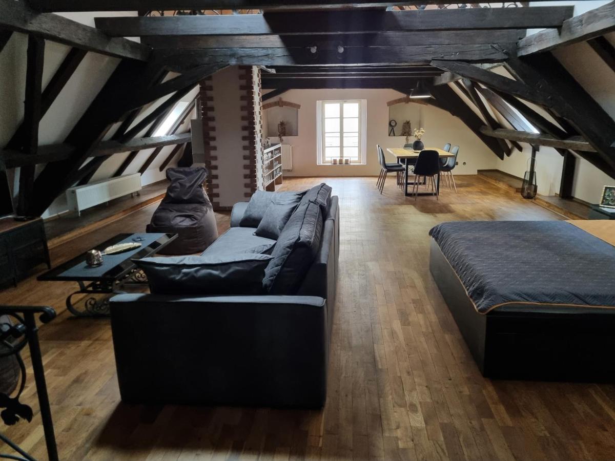Galerie Vila Lucia 5 -Loft Apartman Plzeň Buitenkant foto