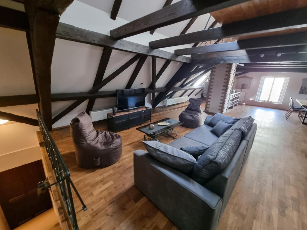 Galerie Vila Lucia 5 -Loft Apartman Plzeň Buitenkant foto