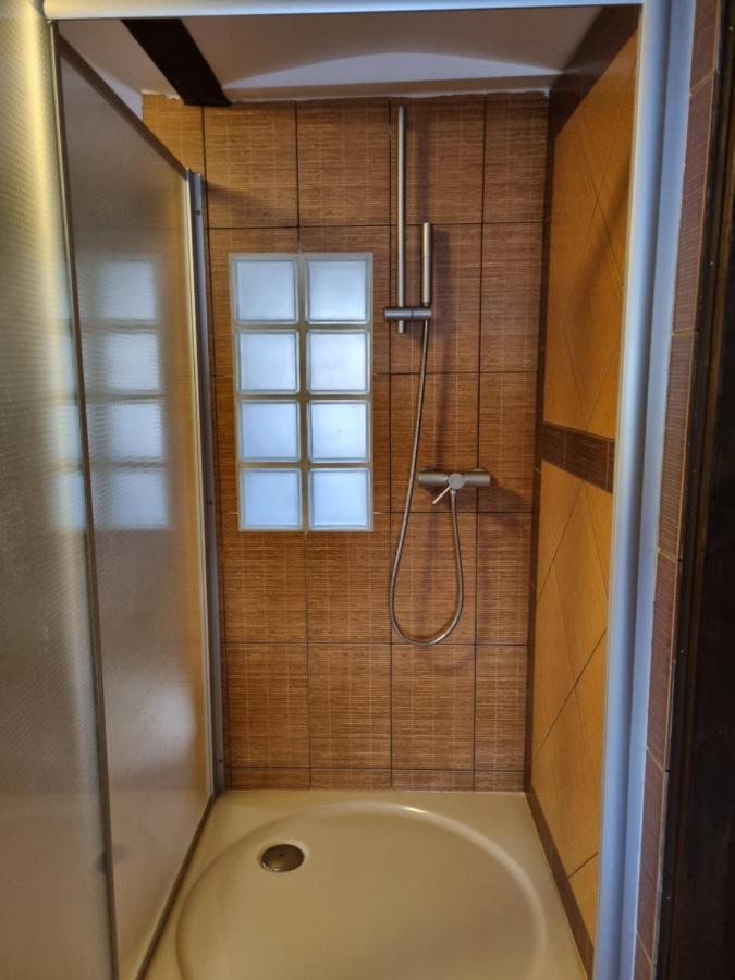 Galerie Vila Lucia 5 -Loft Apartman Plzeň Buitenkant foto