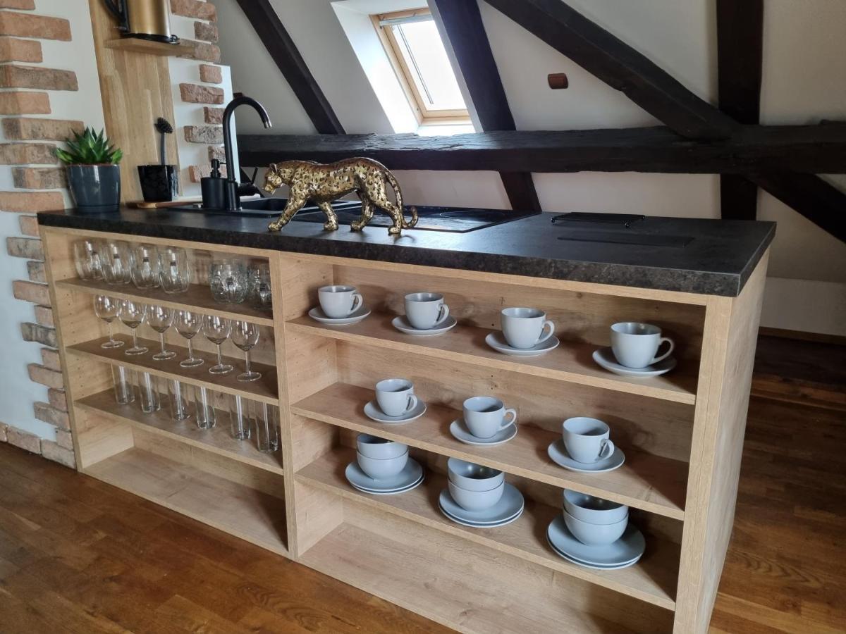 Galerie Vila Lucia 5 -Loft Apartman Plzeň Buitenkant foto