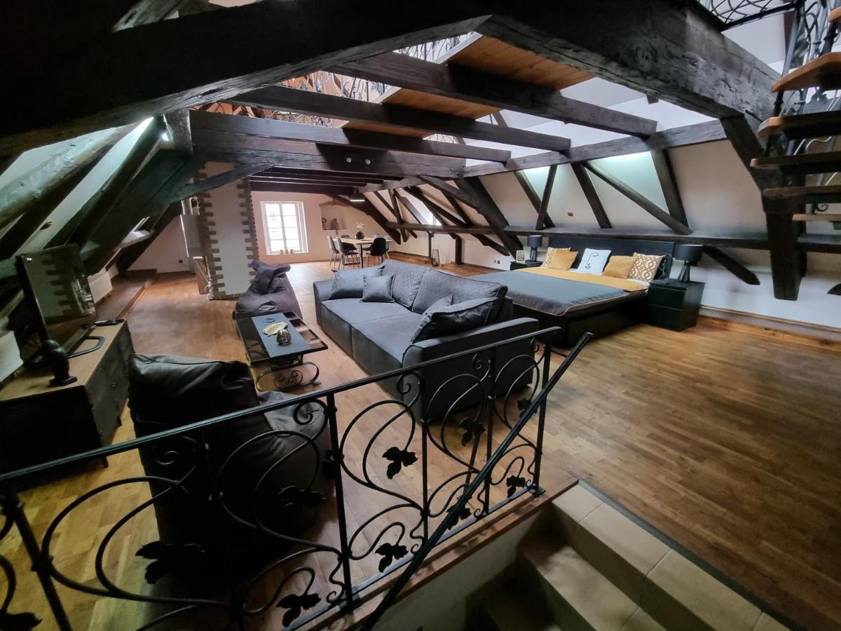 Galerie Vila Lucia 5 -Loft Apartman Plzeň Buitenkant foto